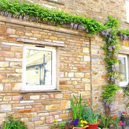 Bed & Breakfast Hazels Roost